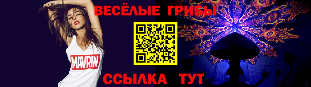 Канаш  Галлюциногенные грибы Psilocybine cubensis  Вход с VPN 